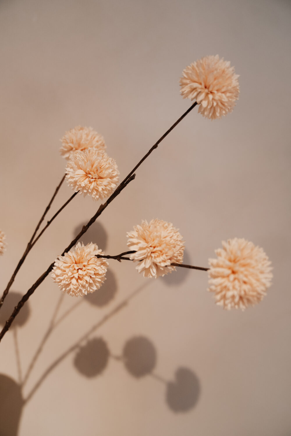 Kunsttak pompom spray L Cream - Afbeelding 4