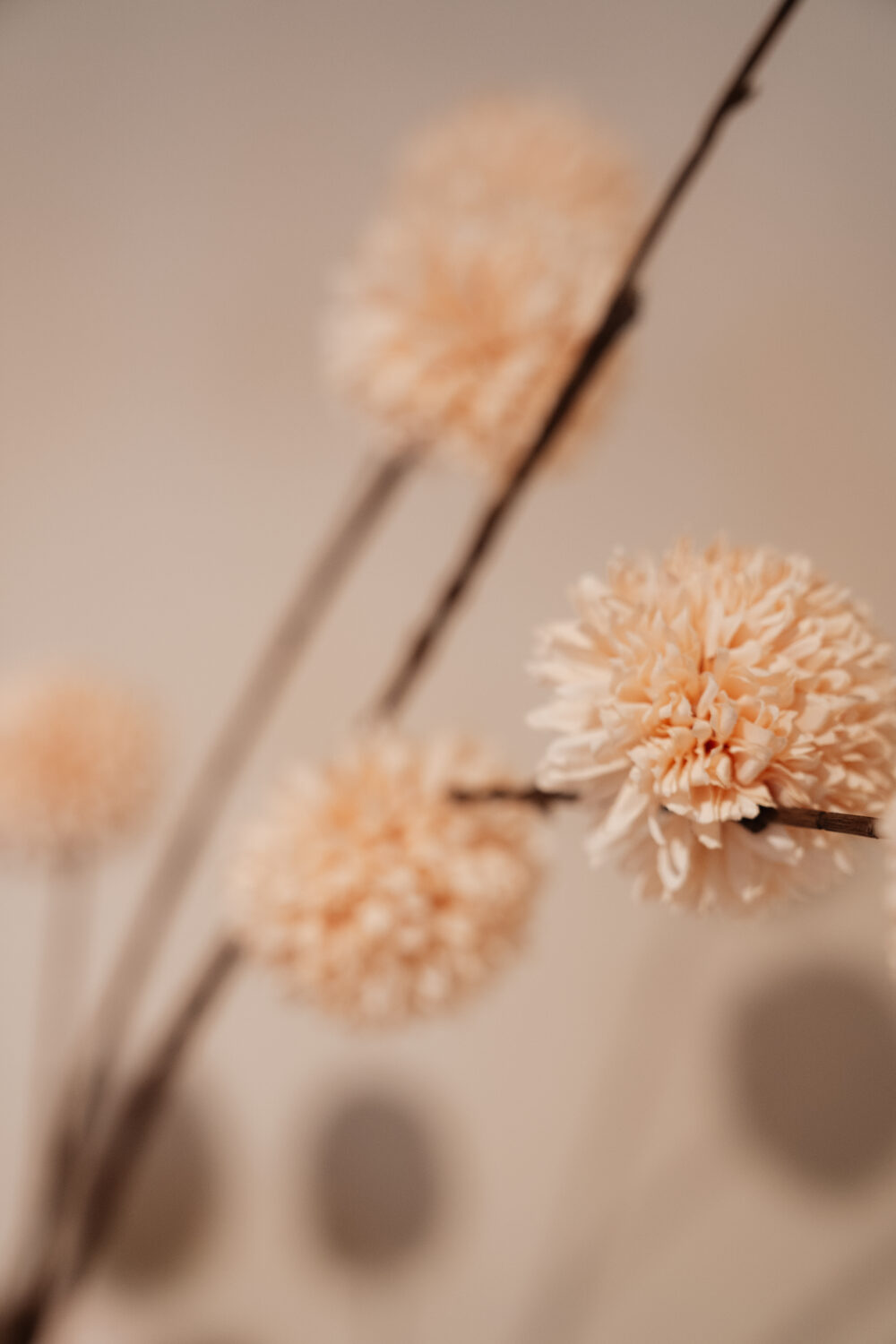 Kunsttak pompom spray L Cream - Afbeelding 2