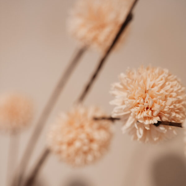 Kunsttak pompom spray L Cream