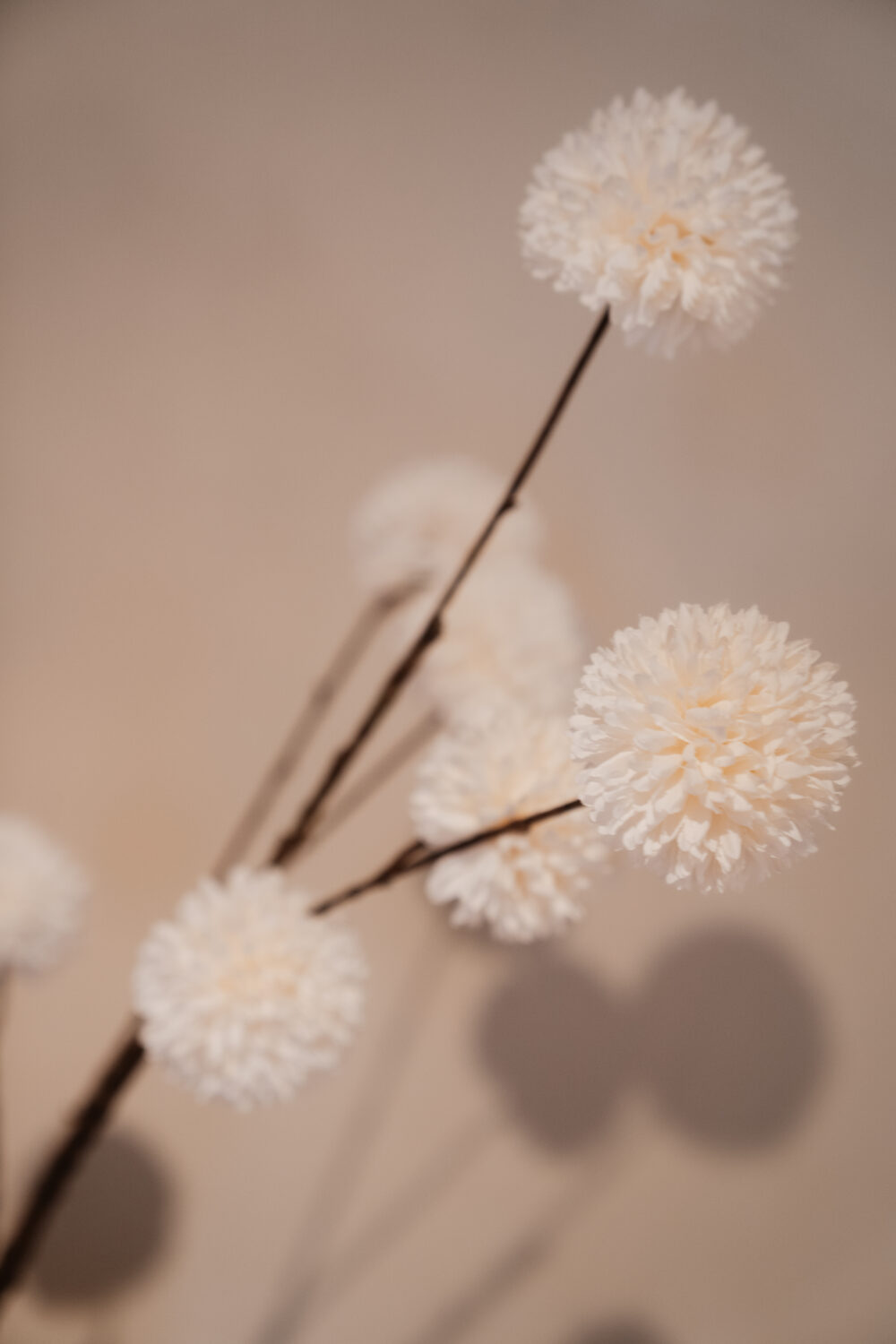 Kunsttak pompom spray M White - Afbeelding 2