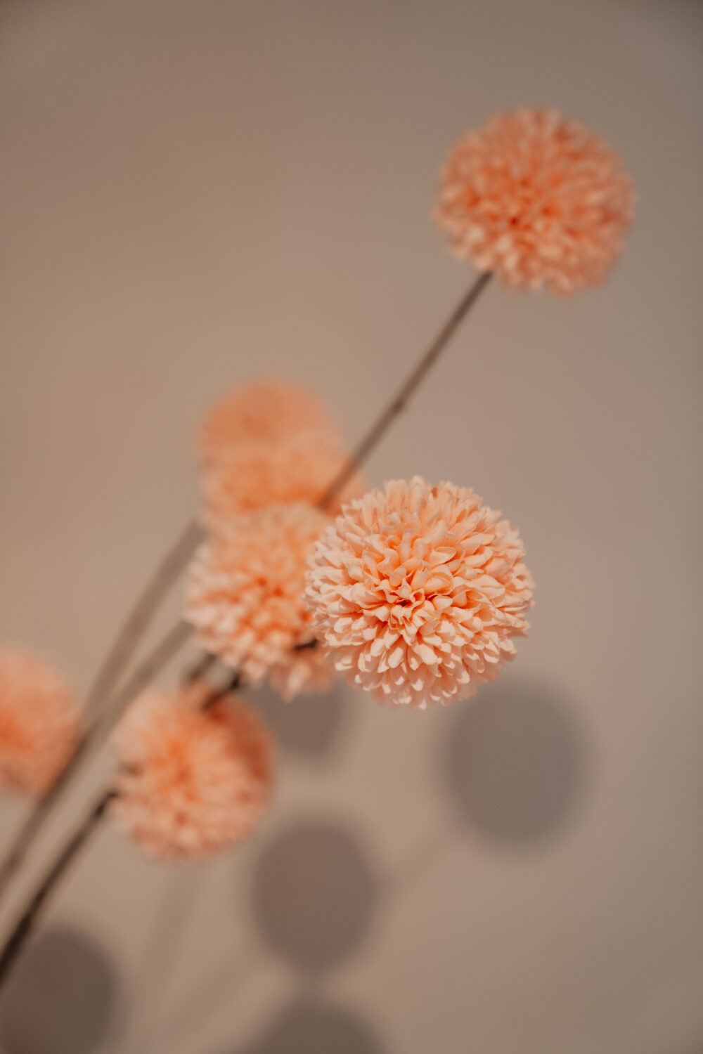 Kunsttak pompom spray M Salmon - Afbeelding 2