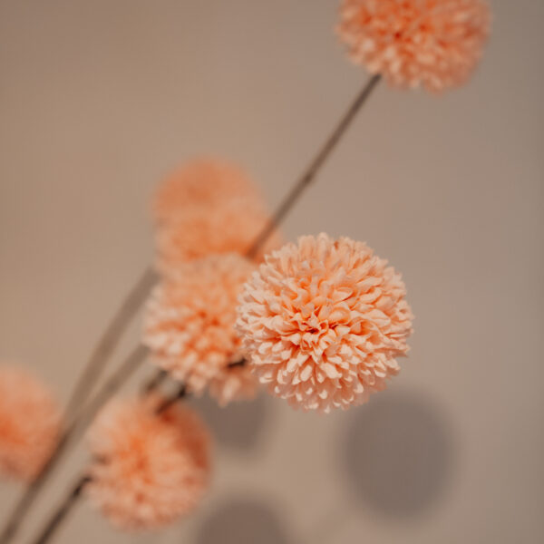 Kunsttak pompom spray M Salmon