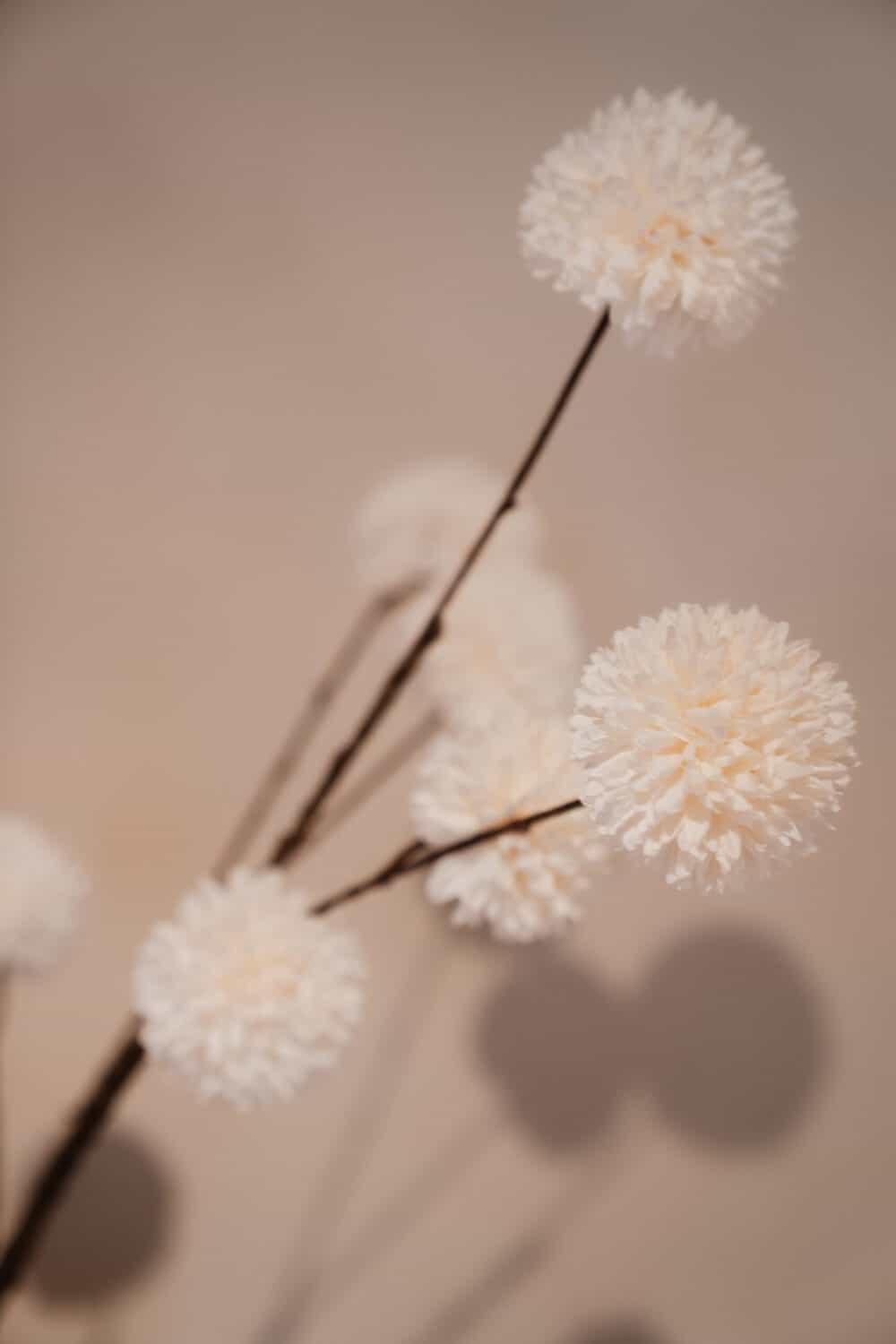Kunsttak pompom spray L White - Afbeelding 2