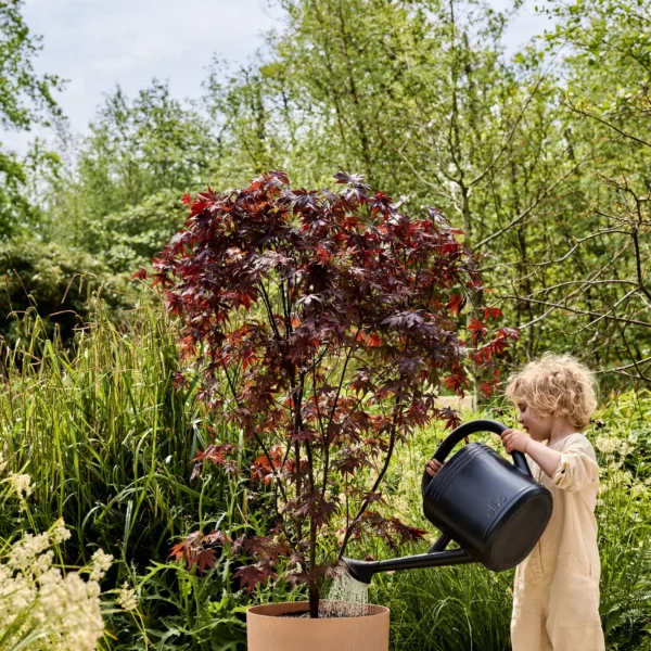 Pot sereh rond 47cm koele klei