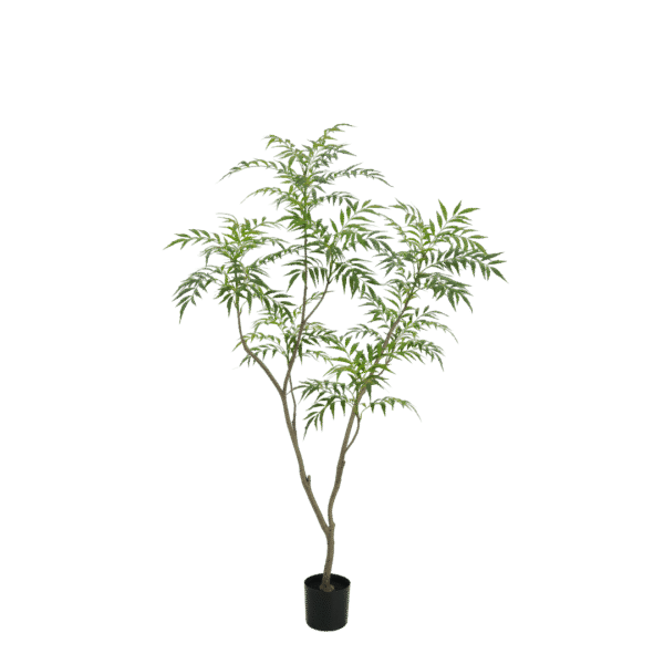 Bamboe boom 180cm