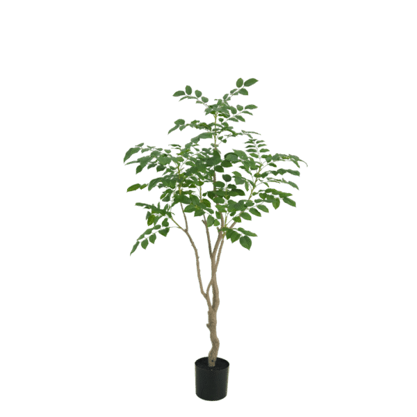 Sandalwood boom 180cm