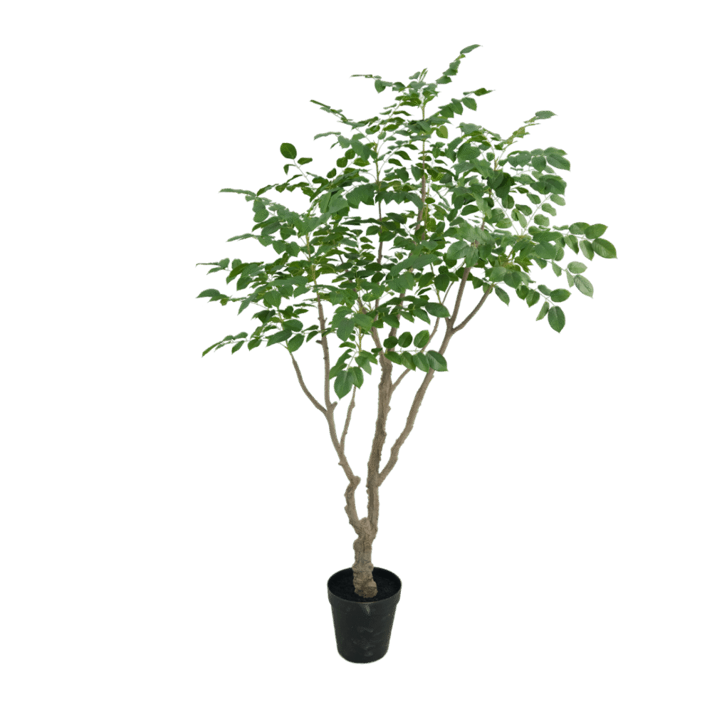 Sandalwood boom 240cm