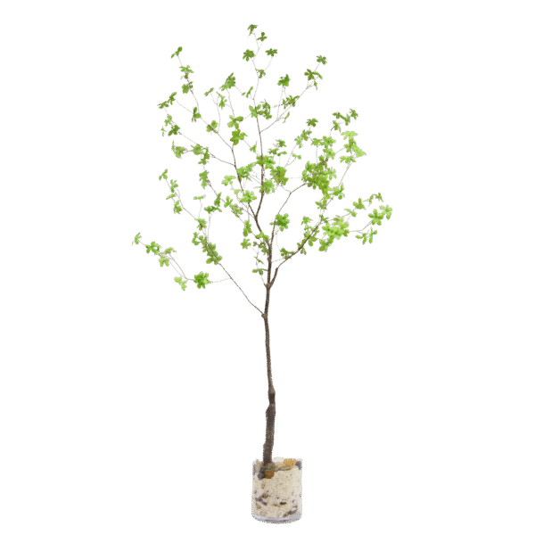 Kunsttak Enkianthus 180cm