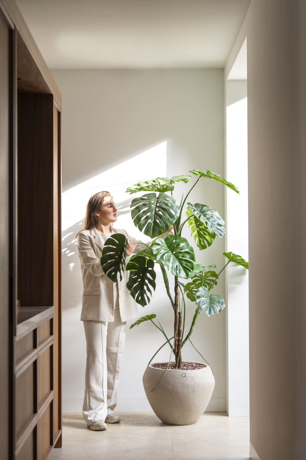 Monstera boom 180cm - Afbeelding 2