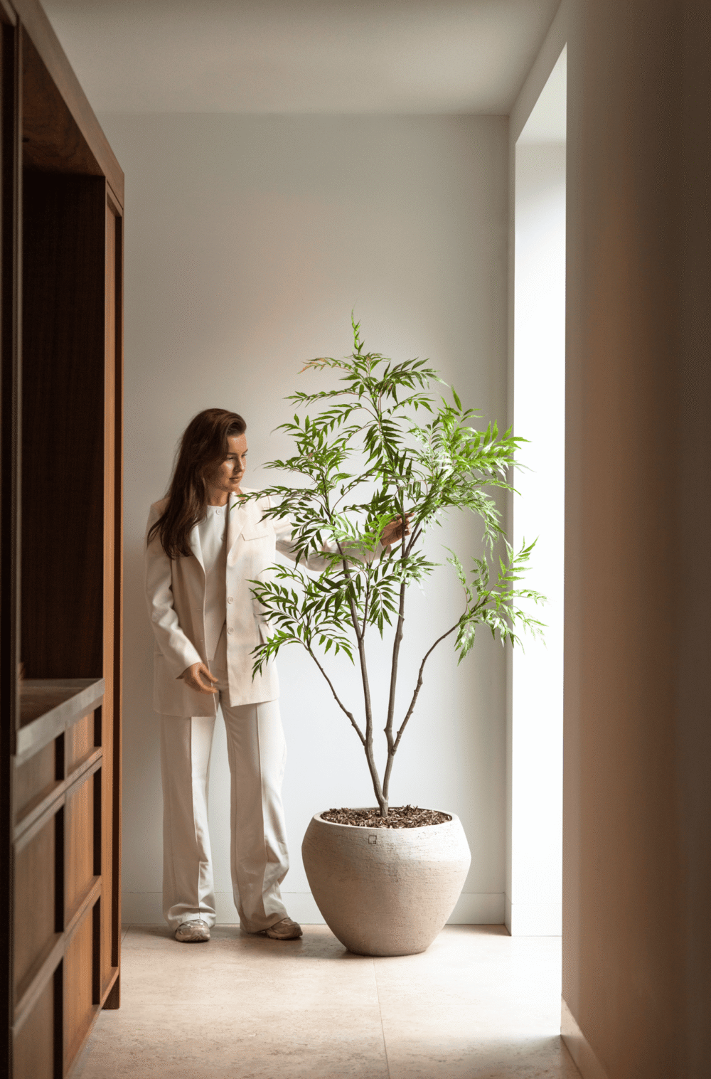 Bamboe boom 180cm - Afbeelding 3