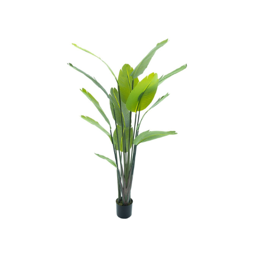 Kunstboom Strelitzia palm - 187cm